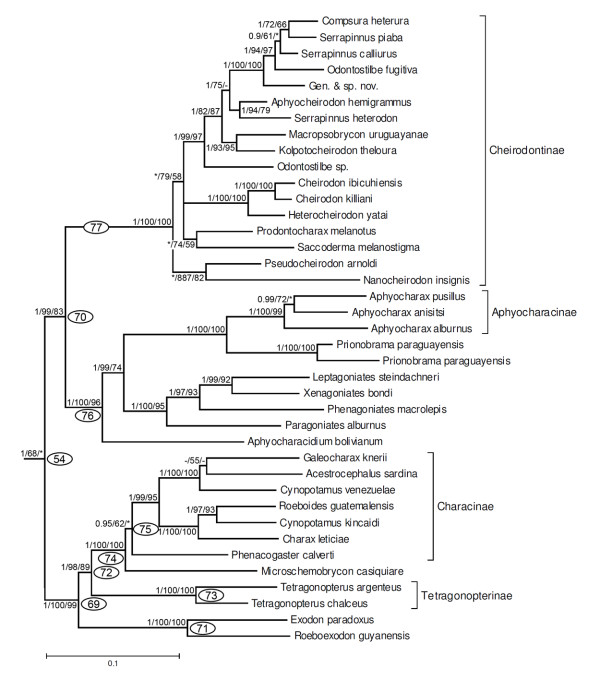 Figure 11