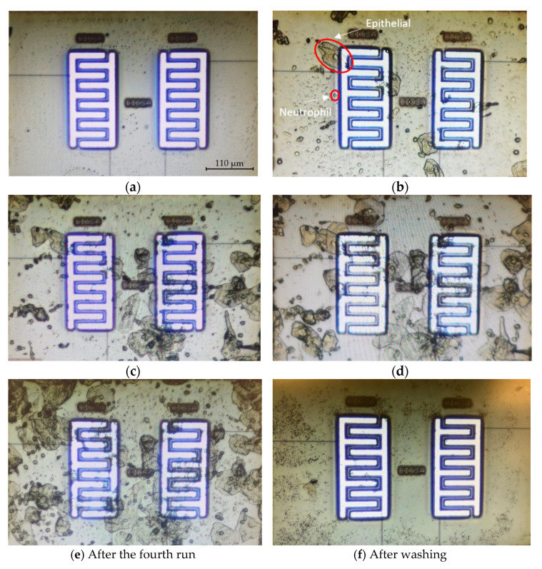 Figure 17