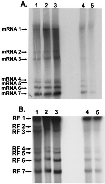 FIG. 6