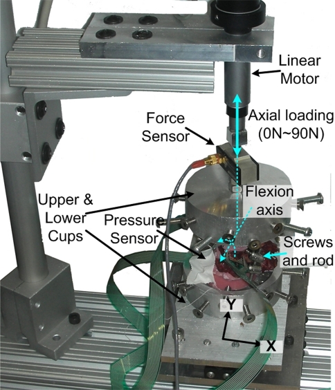 Fig. 1