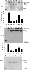 Fig 4