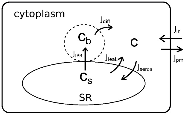 Figure 8