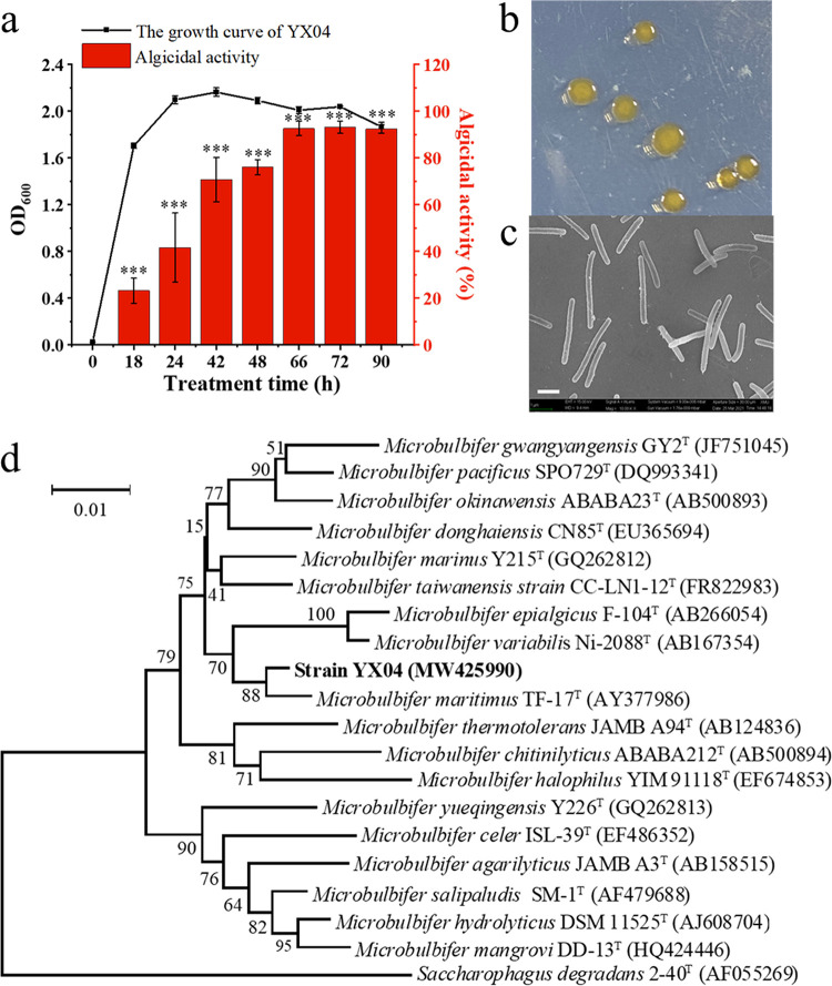 FIG 1