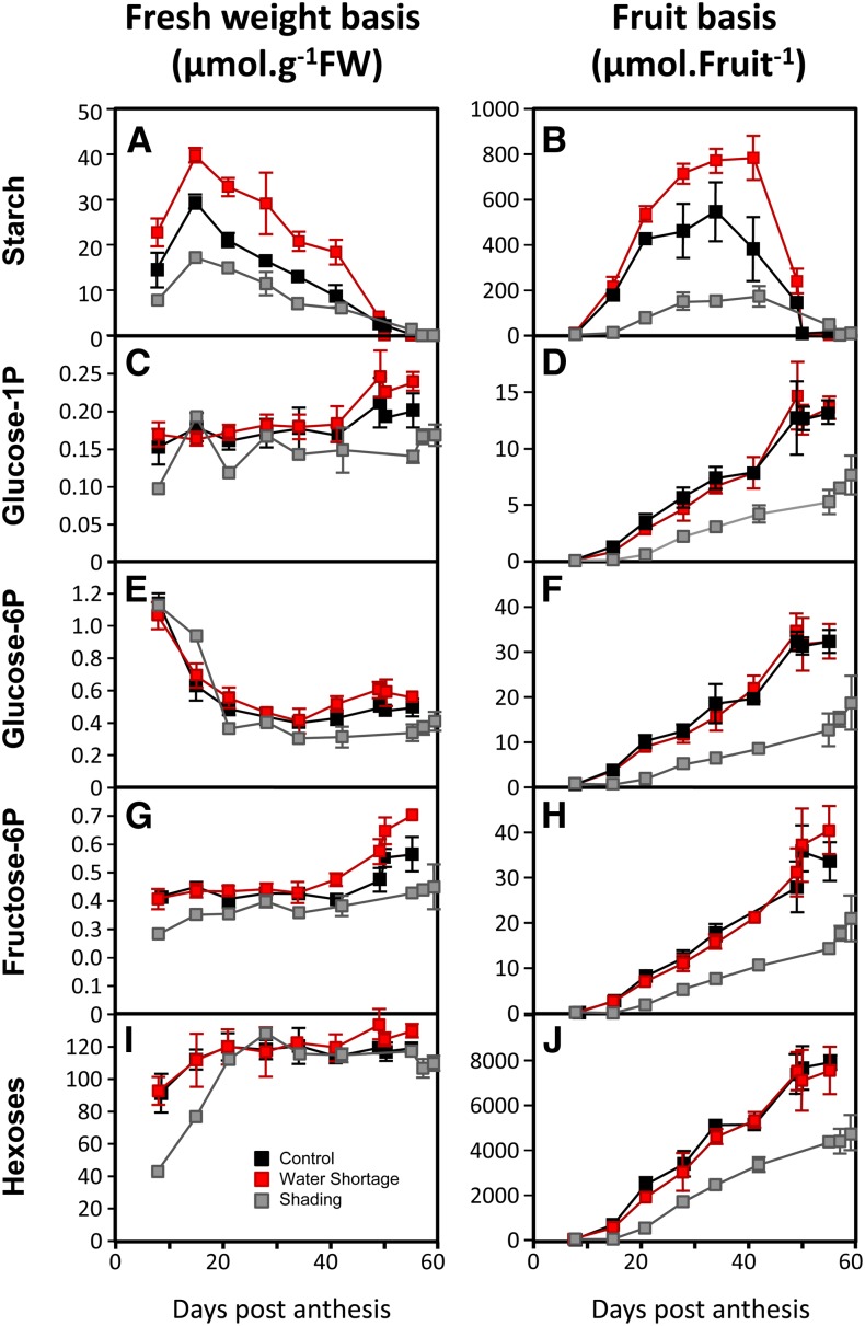 Figure 7.