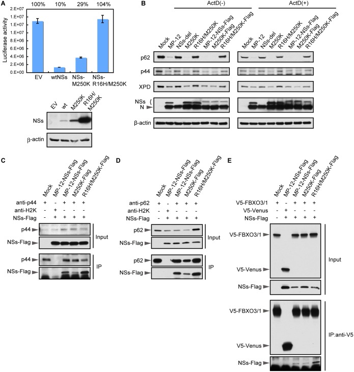 Fig 6