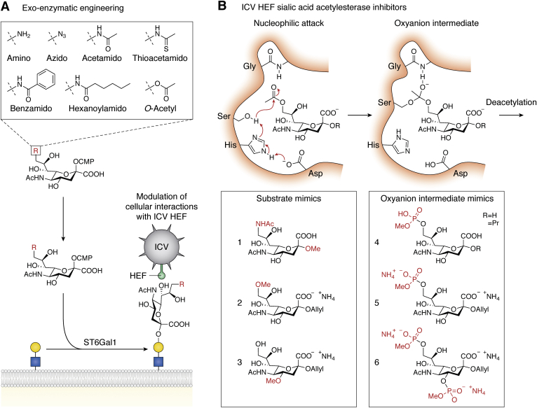 Figure 4