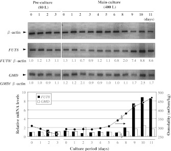 Fig. 6