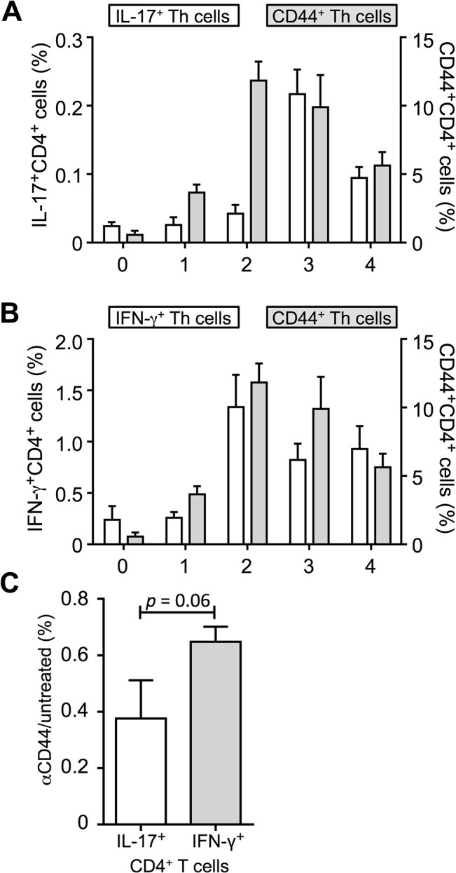 Fig 6