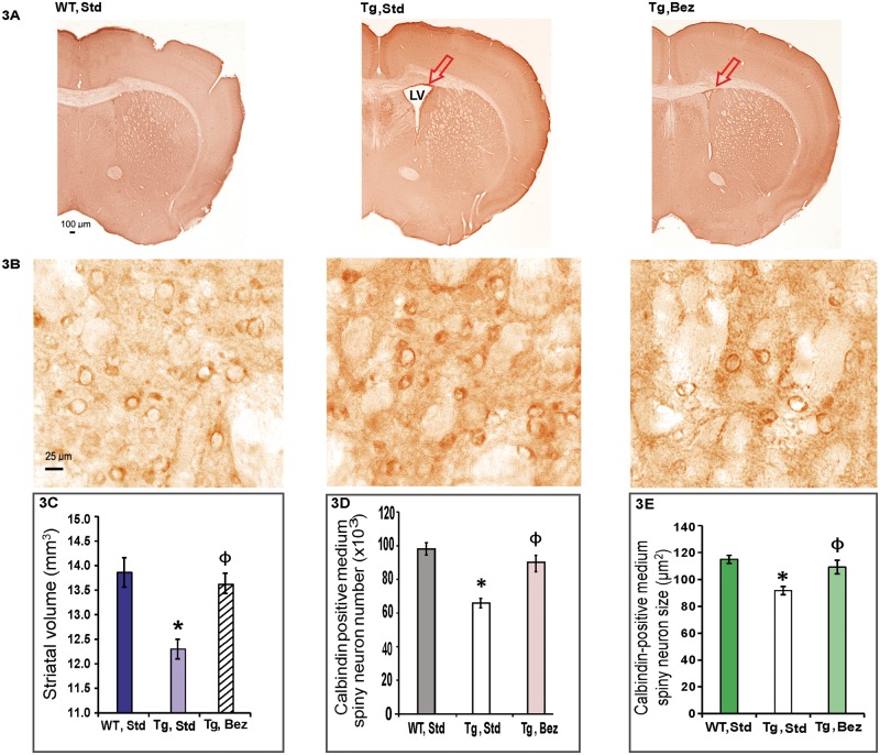 Figure 3.