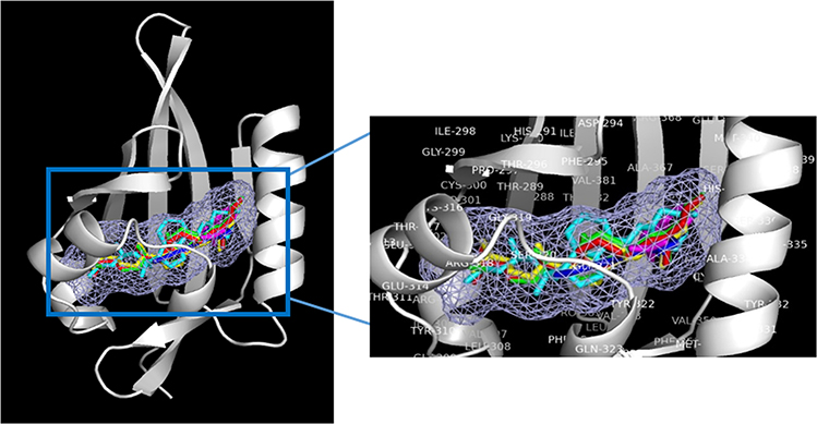 Figure 7.