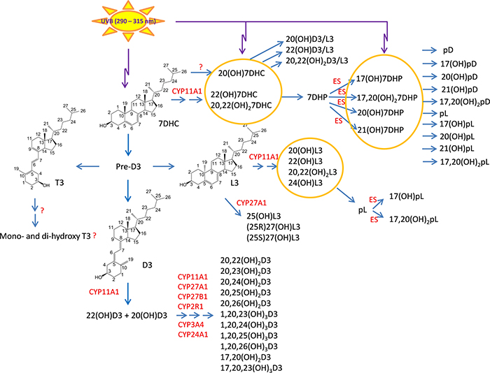 Figure 1.