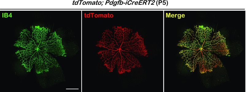 Fig. S2.