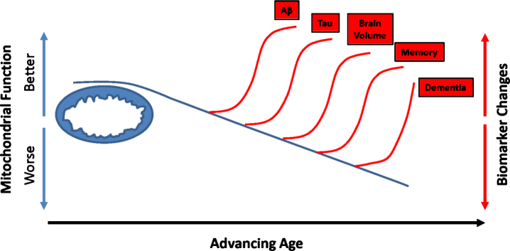 Fig.3