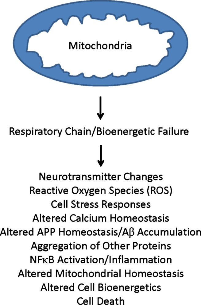 Fig.2