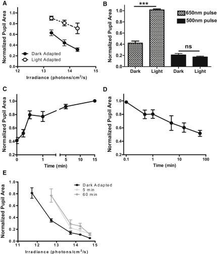 Figure 5