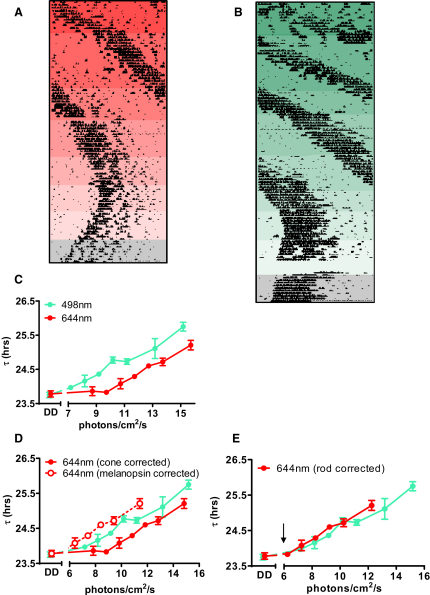 Figure 4