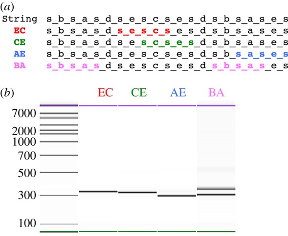 Figure 5.