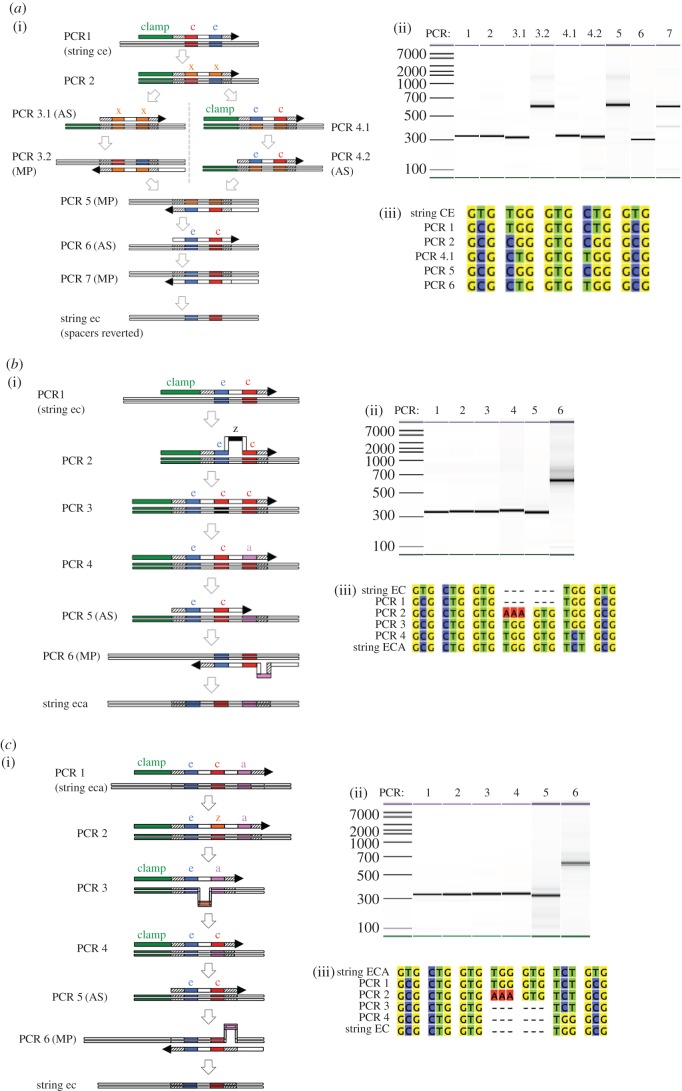 Figure 6.