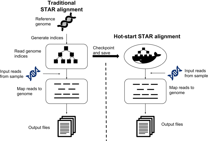 Figure 1: