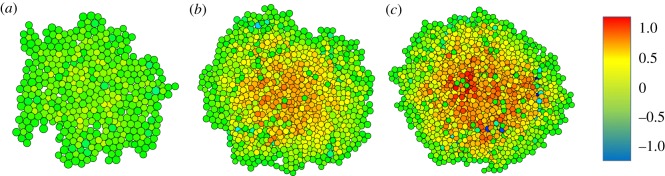 Figure 5.