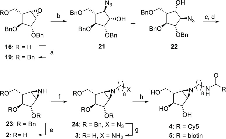 Scheme 3