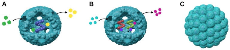 Figure 6