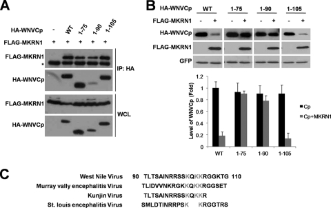 FIG. 6.