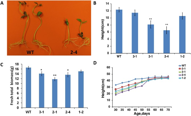 Fig 2