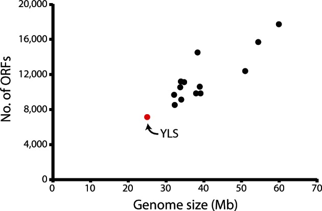 Fig. 2.—