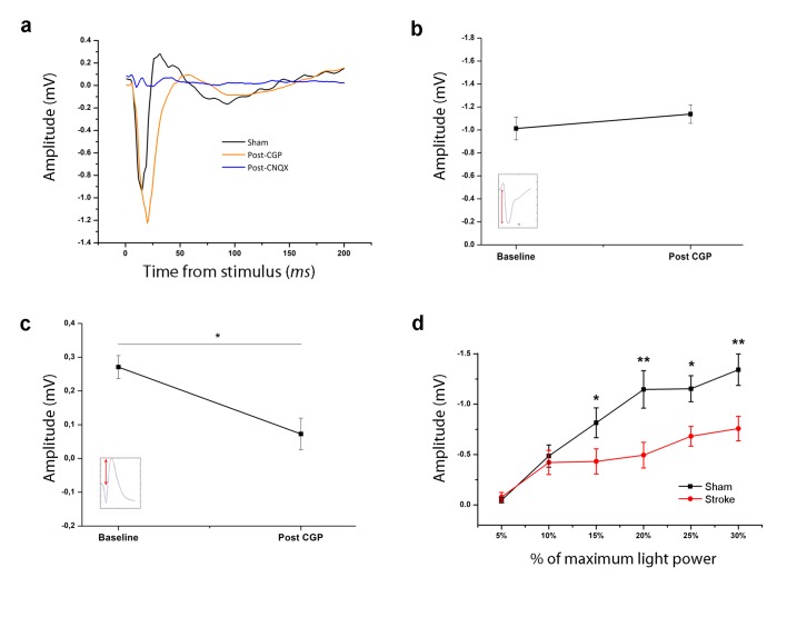 Figure 1—figure supplement 1.