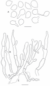 Fig. 10
