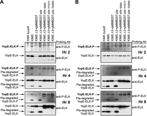 FIG. 6.