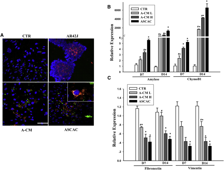 Figure 6