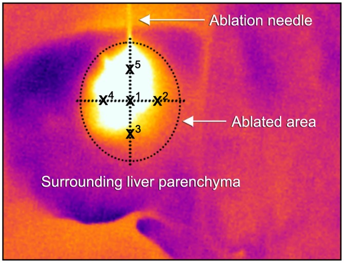 Figure 3.