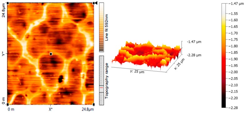 Figure 12