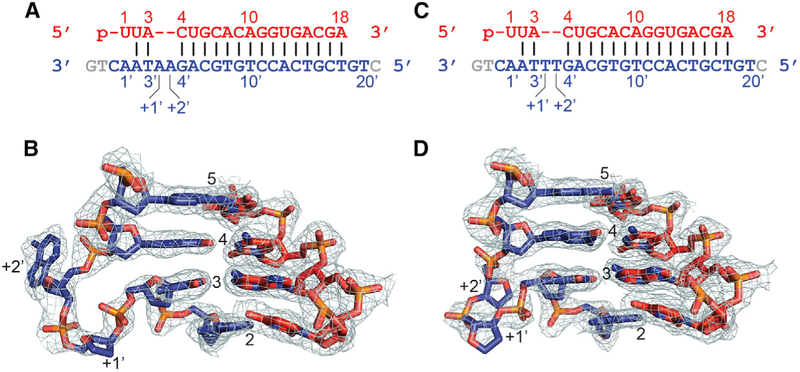 Figure 7.