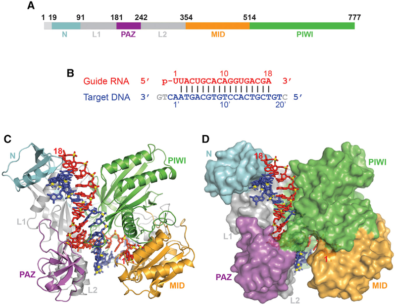 Figure 1.