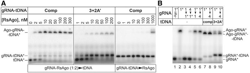 Figure 5.