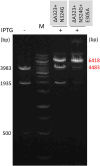 Figure 4.