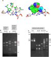 Figure 3.