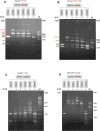 Figure 5.