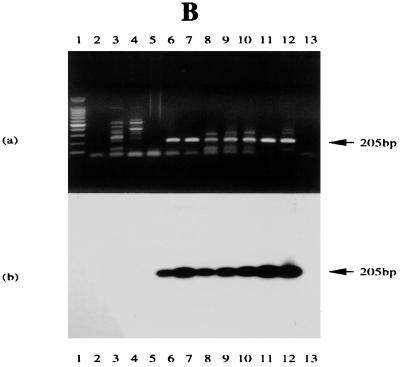 FIG. 5