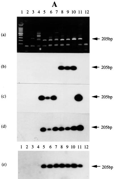 FIG. 5