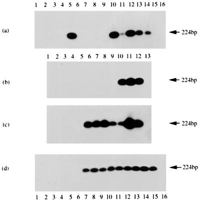 FIG. 6