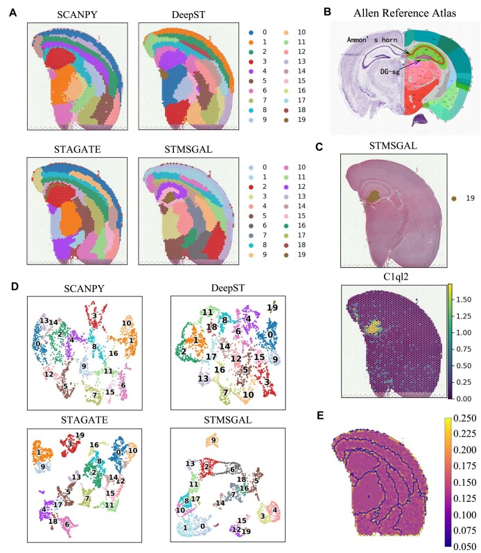 Figure 7: