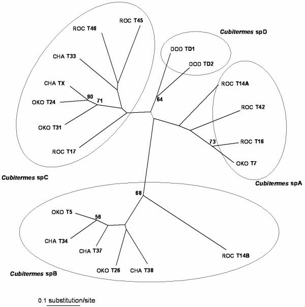 Figure 5