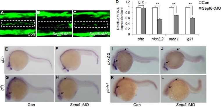 FIG 9