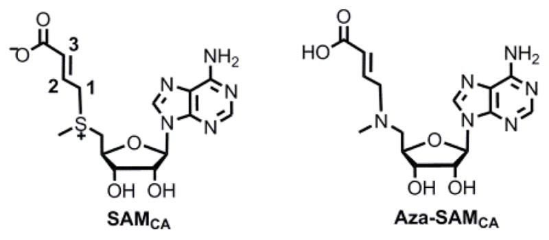 Scheme 2