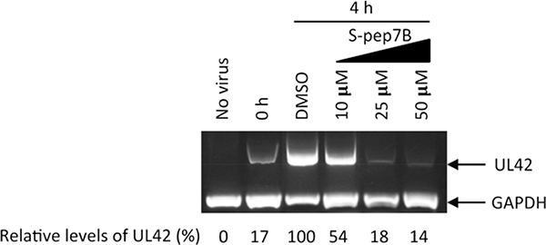 Fig. 7.