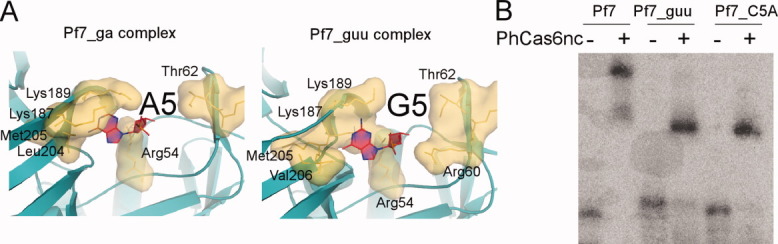 Figure 6